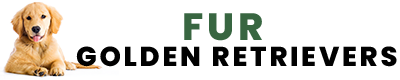 Fur Golden Retrievers